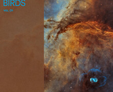Distant Birds : Vol. 01 & Vol. 02