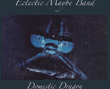 Eclectic Maybe Band: Domestic Dragon