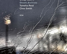 Craig Taborn – Tomeka Reid – Ches Smith : Dream Archives