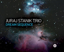 Juraj Stanik Trio : Dream Sequence
