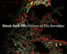 Black Gold 360 : Dreams of the Revelator