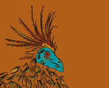 Sapocaya : Elementos