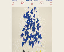 Romain Pilon : Falling Grace