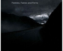 Mick Goodrick & Fred Hersch : Feebles, Fables & Ferns