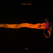 Theorem Of Joy : Feux