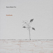 Søren Bebe Trio : Gratitude