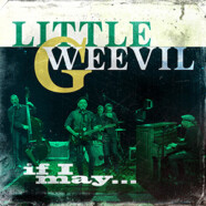 Little G. Weevil : If I May…