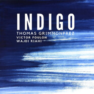 Thomas Grimmonprez Trio : Indigo