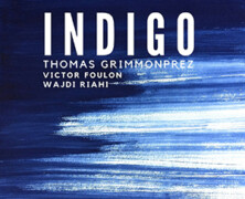 Thomas Grimmonprez Trio : Indigo