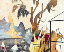 Skage Larsen : Indus