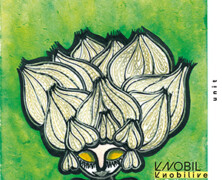 Knobil : Knobilive in Cully Jazz