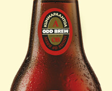 Odd Brew: Kummapaahtoa