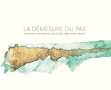 Matthieu Prual / Carol Robinson / Toma Gouband / Gabriel Lemaire / Joris Rühl : La démesure du pas