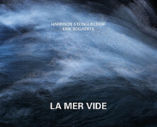 Harrison Steingueldoir / Erik Bogaerts : La mer vide 