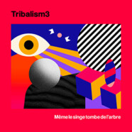 Tribalism3 : Même le singe tombe de l’arbre