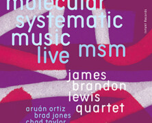 James Brandon Lewis Quartet : Molecular Systematic Music