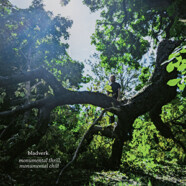 Bladverk : Monumental Thrill, Monumental Chill