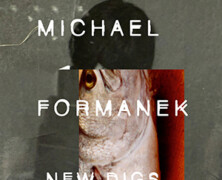 Michael Formanek : New Digs
