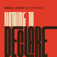 Mikael Godée Nothing To Declare