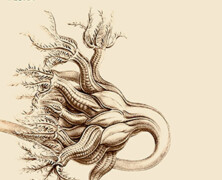 Marcelo Dos Reis – Flora : Our Time