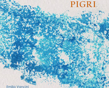 Emilia Vancini & Guillermo Martín-Viana : Pigri