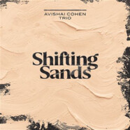 Avishai Cohen Trio : Shifting Sands