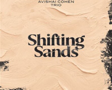 Avishai Cohen Trio : Shifting Sands