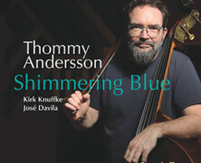 Thommy Andersson : Shimmering Blue