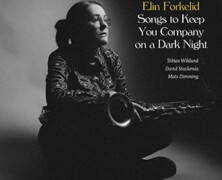 Elin Forkelid : Songs to Keep You Company on a Dark Night