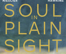Angelica Niescier & Alexander Hawkins : Soul in Plain Sight