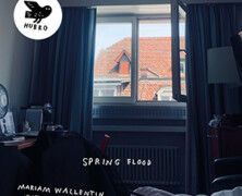 Mariam Wallentin & Vestnorsk Jazz Ensemble : Spring Flood