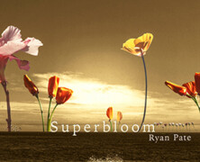 Ryan Pate : Superbloom