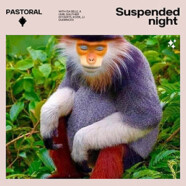 Pastoral : Suspended Night