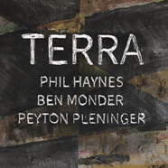 Phil Haynes, Ben Monder & Peyton Pleninger : Terra