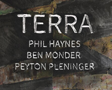 Phil Haynes, Ben Monder & Peyton Pleninger : Terra