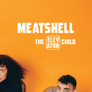 Meatshell : The Elevator Child