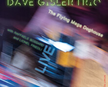 Dave Gisler Trio : The Flying Mega Doghouse