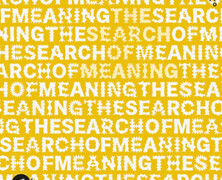 VMV Trio : The Search of Meaning