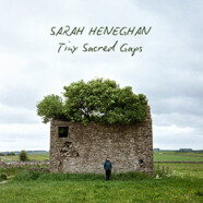 Sarah Heneghan : Tiny Sacred Gaps