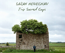 Sarah Heneghan : Tiny Sacred Gaps