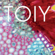 Toiy : Toiy
