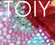 Toiy : Toiy