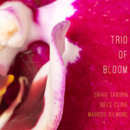 Craig Taborn, Nels Cline & Marcus Gilmore : Trio of Bloom