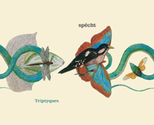 Spëcht : Triptyques 