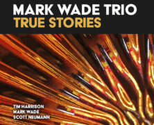 Mark Wade Trio : True Stories