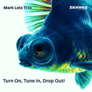 Mark Lotz Trio : Turn On, Tune In, Drop Out !