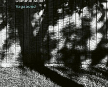 Dominic Miller : Vagabond