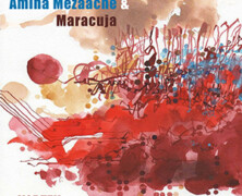 Amina Mezaache & Maracuja : Vortex