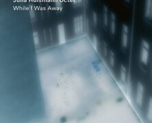 Julia Hülsmann Octet : While I Was Away
