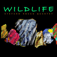 Stefano Rocco Quartet : Wildlife